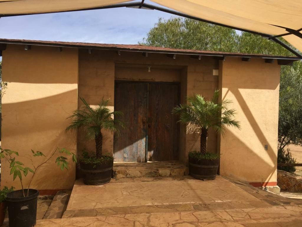 Guest House Nativo - Charming, Cozy & Affordable Valle de Guadalupe Exterior photo