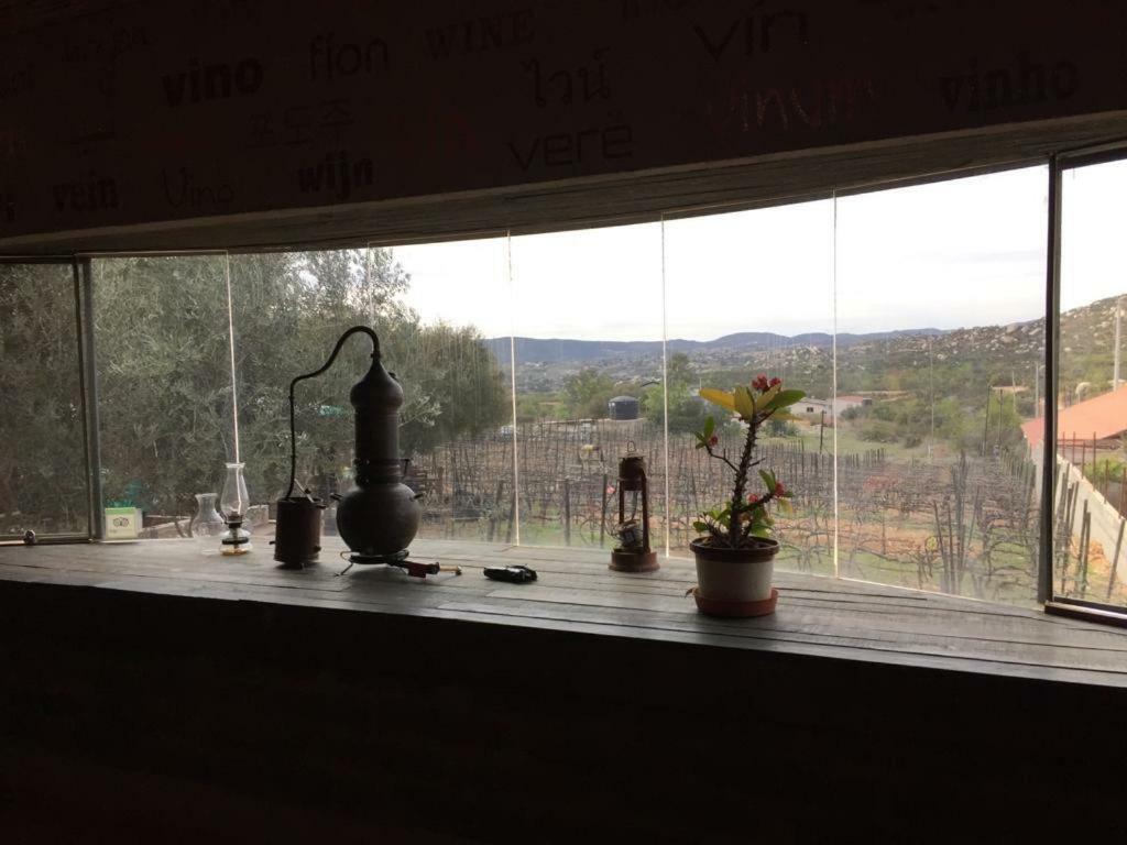 Guest House Nativo - Charming, Cozy & Affordable Valle de Guadalupe Exterior photo