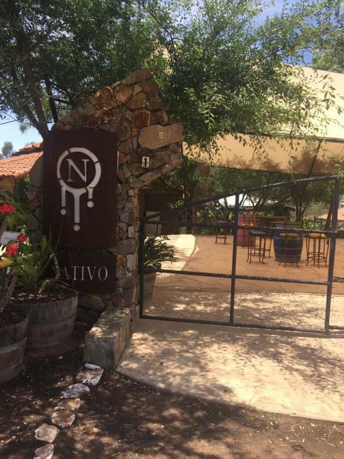 Guest House Nativo - Charming, Cozy & Affordable Valle de Guadalupe Exterior photo